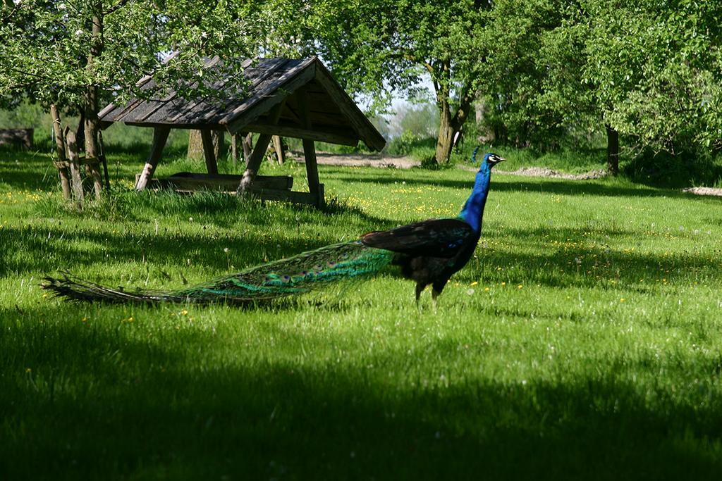 Appartementhof Stadler Pocking  Εξωτερικό φωτογραφία